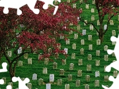 viewes, cemetery, trees