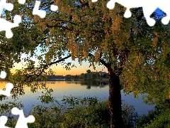 viewes, lake, trees