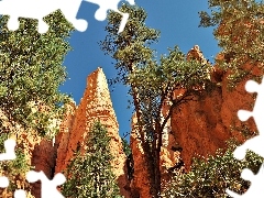viewes, rocks, trees
