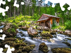 stream, flux, Windmill, trees, forest, Stones, mossy, viewes