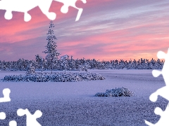 lake, Ladoga, winter, trees, clouds, Karelia, Russia, viewes