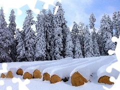 winter, trees, viewes, Snowy