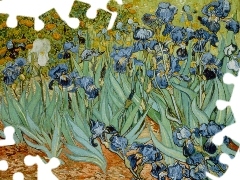 picture, Irises, Vincent Van Gogh