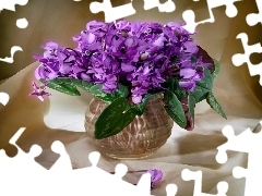 vase, Violets