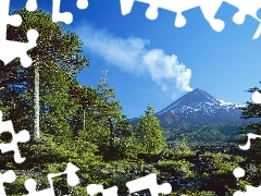 trees, mountains, volcano, viewes