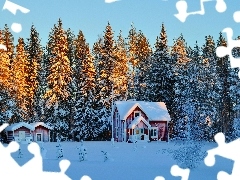 winter, Houses, light breaking through sky, The Forest Wall