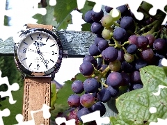 Wooden, Grapes, Watch, hand-rail