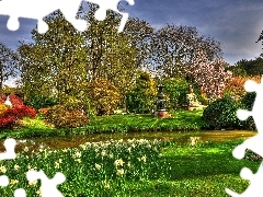 Garden, green, water, Flowers