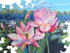 Lotus Flower