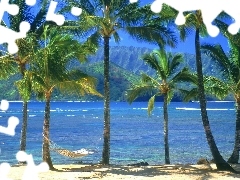 Palms, Hammock, Kauai, water, Aloha State Hawaje