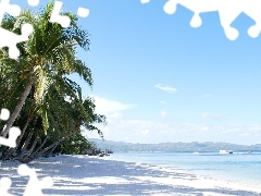 water, Sky, Palms, a man, Sand