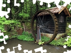 water, forest, Windmill