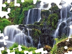waterfall, Plants, Bush