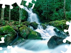 forest, mosses, waterfall, boulders