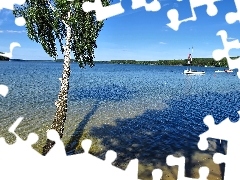 Waves, birch-tree, Kayaks, boats, Yachts, lake