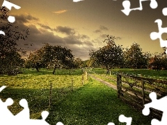 viewes, orchard, Way, fence, fruit, trees