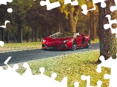 Red, Aventador, Way, Lamborghini