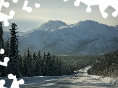 Way, winter, woods, Fog, Mountains