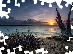 Sand, Coast, west, sun, clouds, Bush