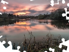 viewes, lake, west, sun, grass, trees