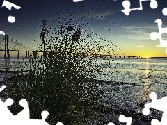 grass, River, west, sun, Stones, bridge