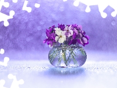 White, fragrant violets, Bokeh, decoration, vase, purple