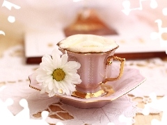 White, Daisy, plate, coffee, cup