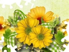 White, ribbon, daisy, green, Yellow