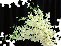 flowers, small bunch, white