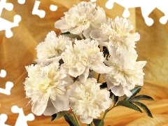 peony, small bunch, white