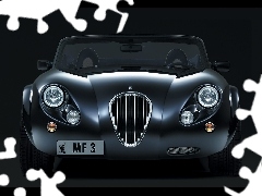 Grill, Front, Wiesmann MF3