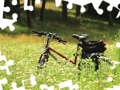 Bike, Flowers, Wildflowers, Meadow