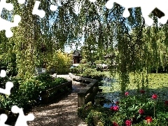 Garden, Pond - car, Willow, bridges