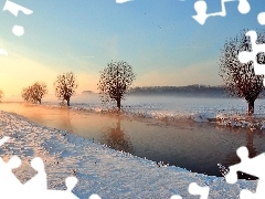 winter, rivers, willow, edges