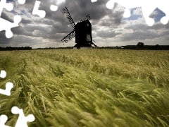 Windmill, Ears, cereals