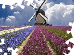 Windmill, field, Floral