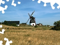 viewes, Meadow, Windmill, Sky, buildings, trees