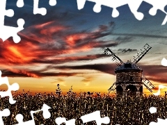 west, field, Windmill, sun