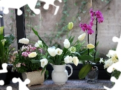 Bouquets, flowers, Window, spring