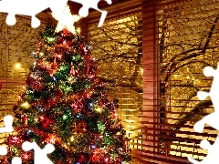 Window, winter, christmas tree, christmas, Coloured