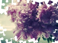 Window, bouquet, Peony