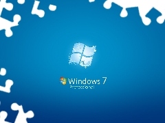 Windows 7, Professional