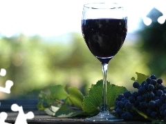 spray, wine glass, Wines, grapes