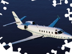 GulfStream G-100, wings