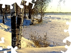 winter, River, birch