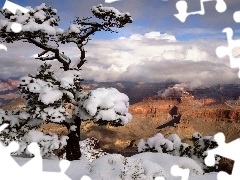 canyon, snow, winter, trees