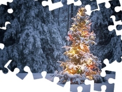 illuminated, forest, winter, christmas tree