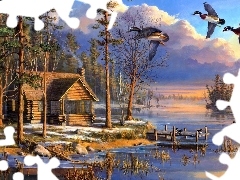 forest, lake, ducks, Mary Pettis, winter, Home