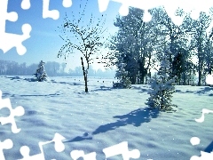 field, viewes, winter, trees