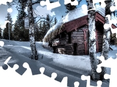 forest, drifts, winter, cottage